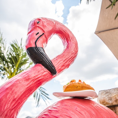 pink flamingo carrying plated food